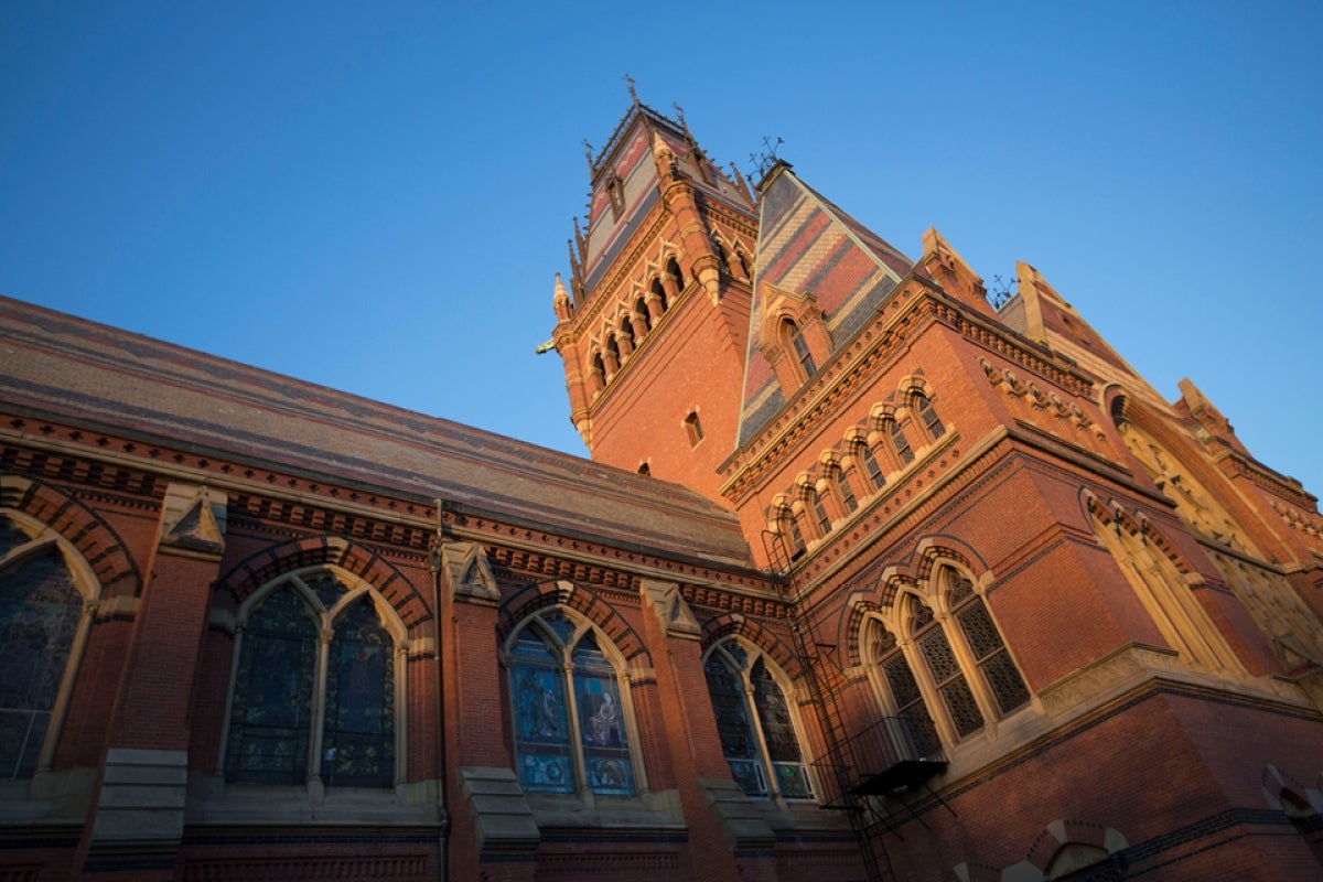 Harvard and Radcliffe College Reunions Harvard Alumni